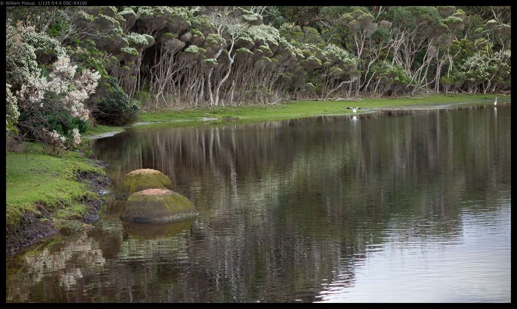Coastal Heath