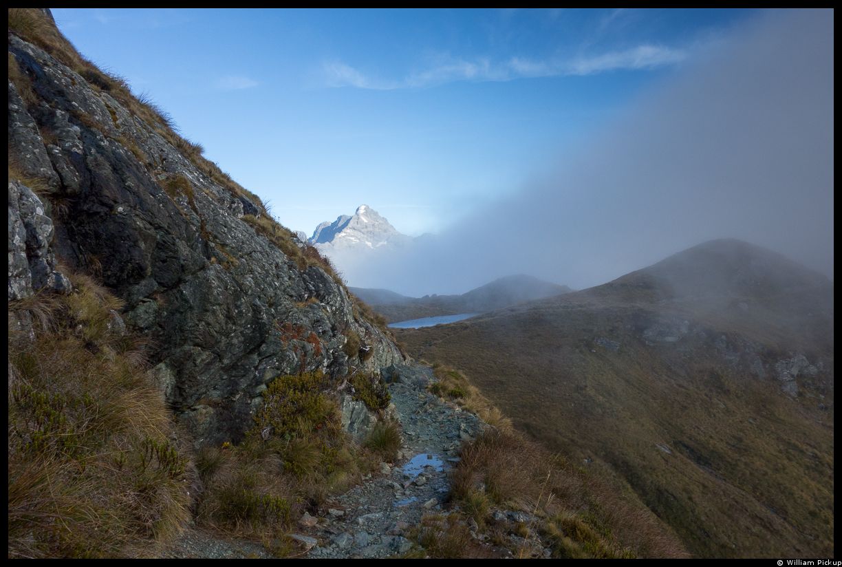 Tussock Country
